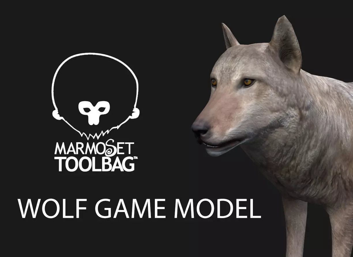 Wolf Game Model Low-poly 3D model_0