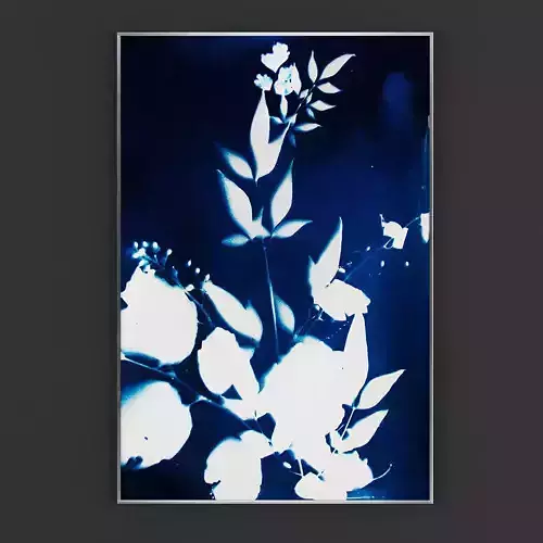 Pictures50 inkjet flower