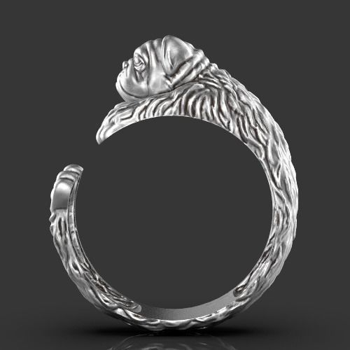 Dog ring Silver Gold  Print 3D print model_7