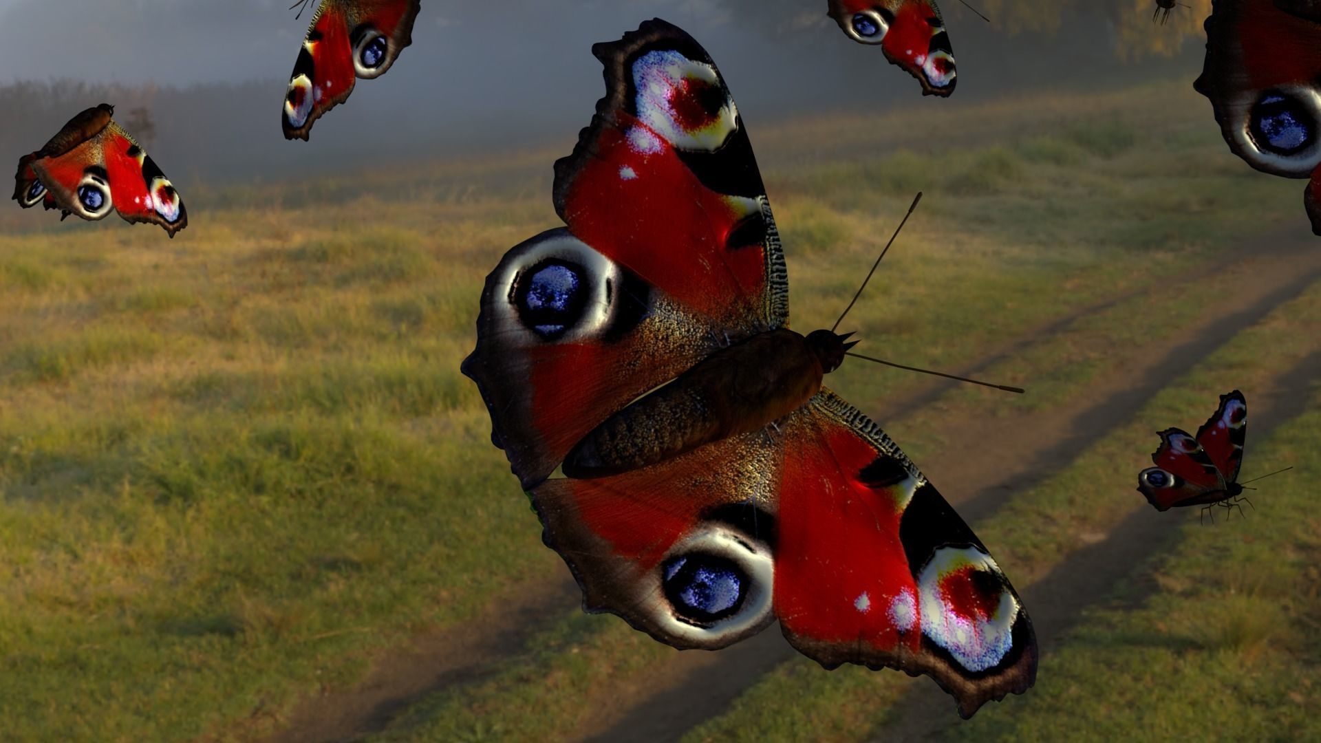 butterfly animation Low-poly 3D model_6