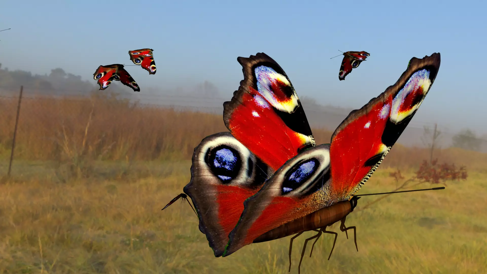 butterfly animation Low-poly 3D model_0