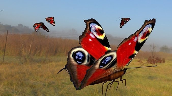 butterfly animation Low-poly 3D model