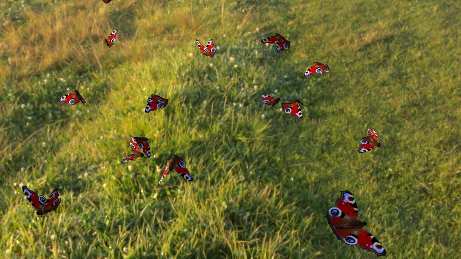 butterfly animation Low-poly 3D model_5