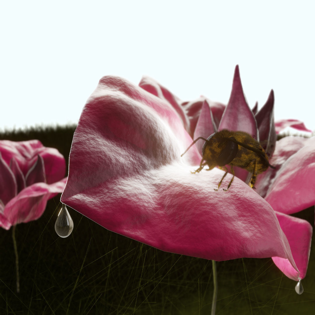Bouganville flower with hornet 3D model_10