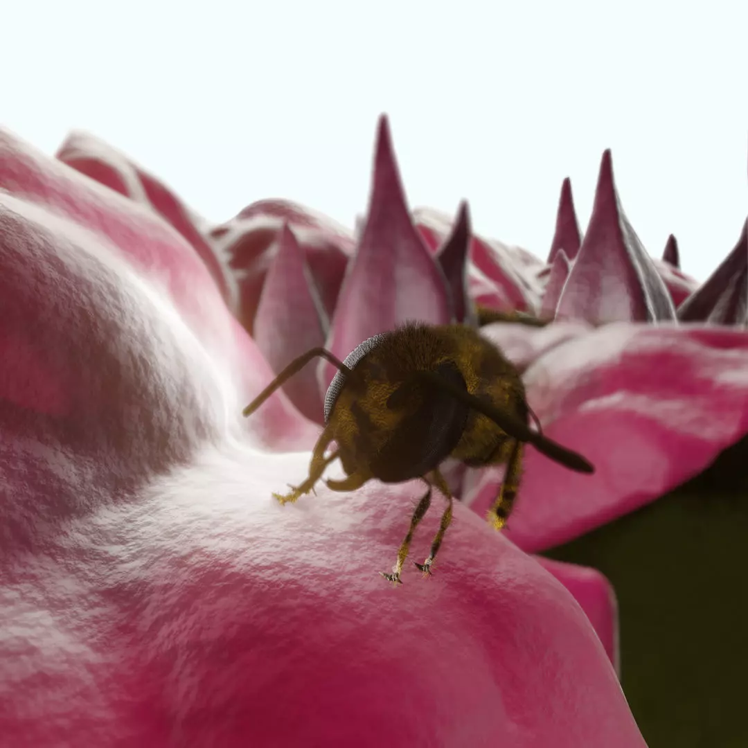Bouganville flower with hornet 3D model_0
