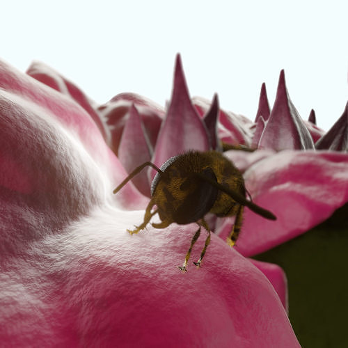 Bouganville flower with hornet 3D model