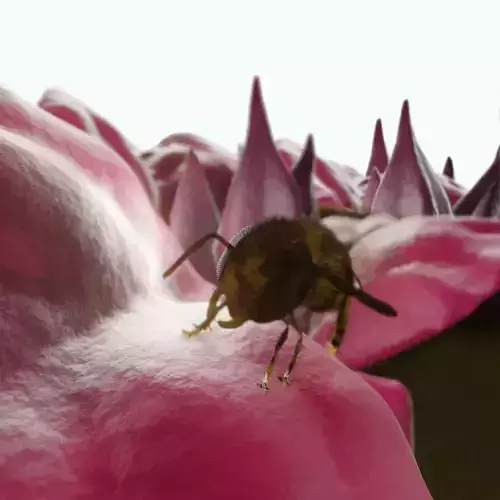 Bouganville flower with hornet 3D model