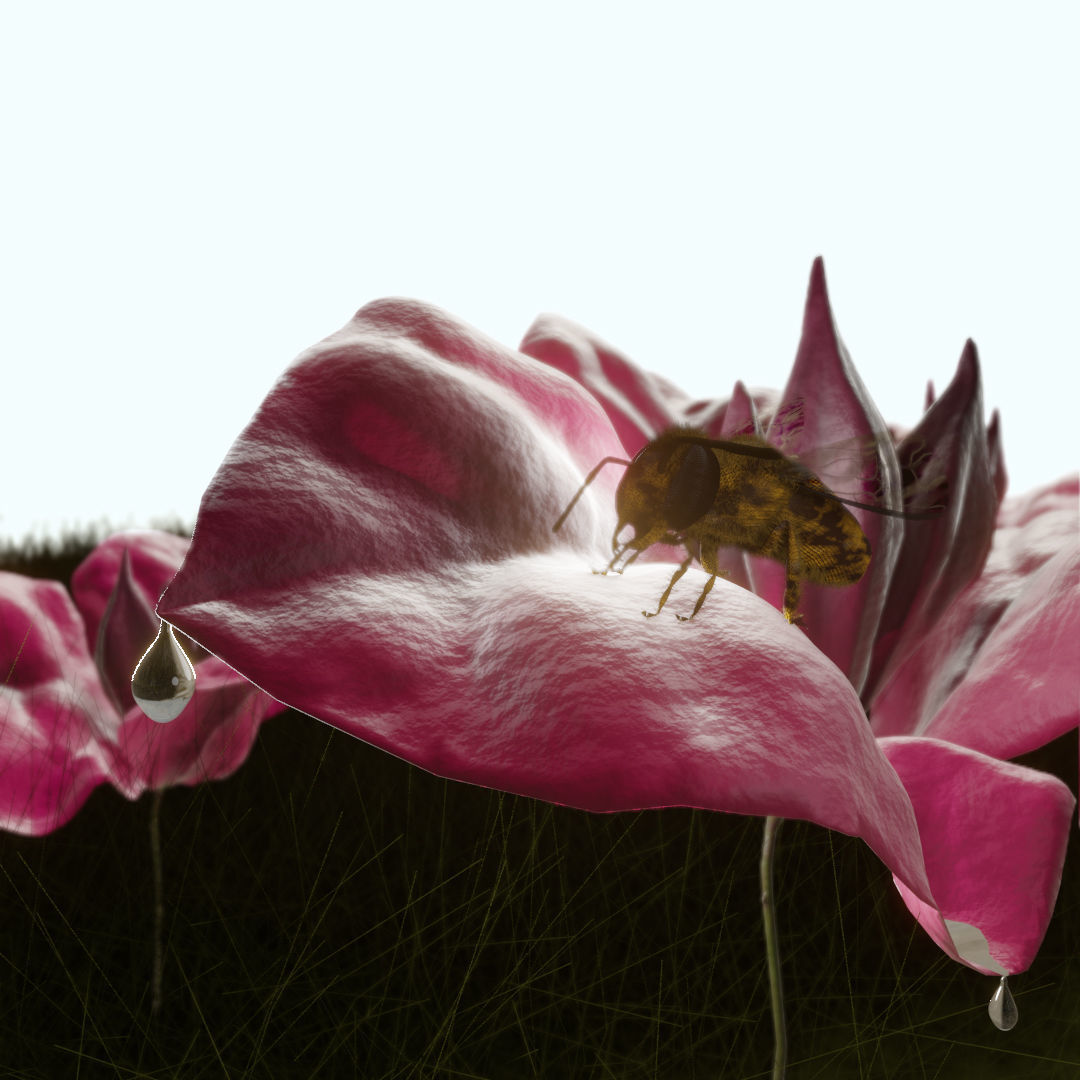 Bouganville flower with hornet 3D model_2