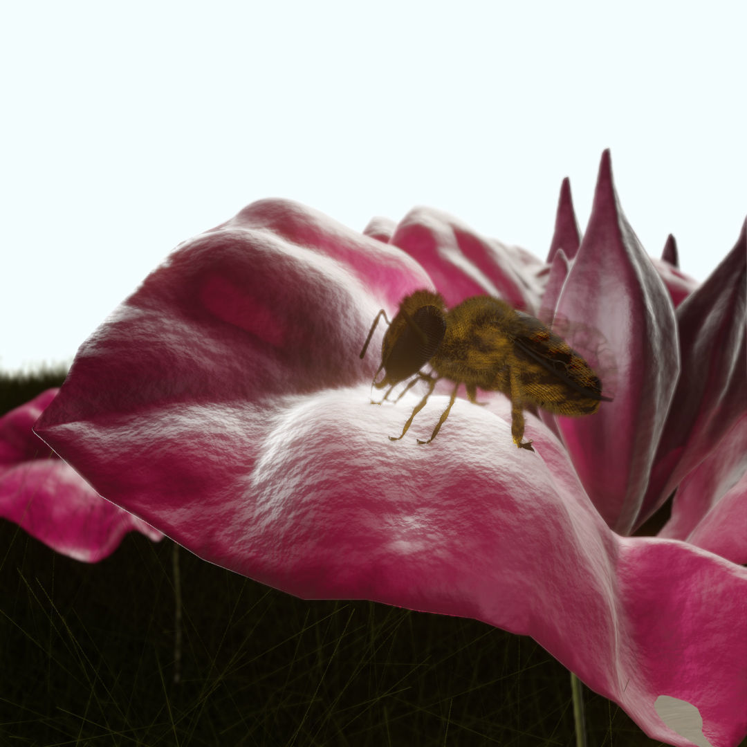 Bouganville flower with hornet 3D model_7