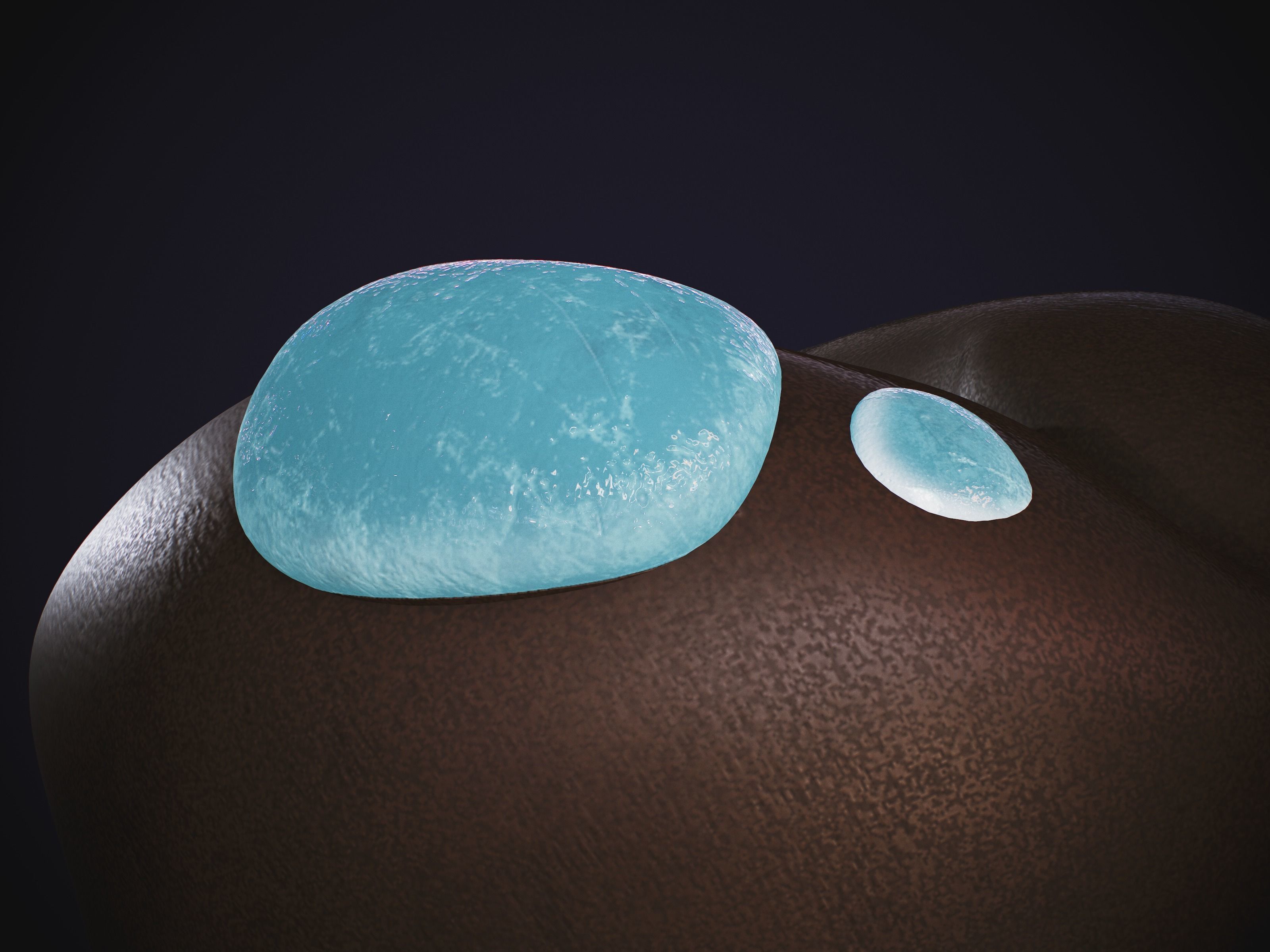 Among Us Skins Pack  Low-poly 3D model_7