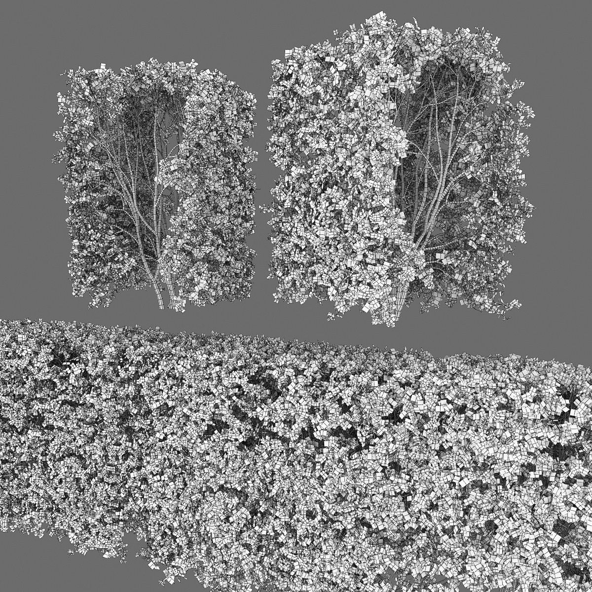 Spiraea hedge 03 3D model_4