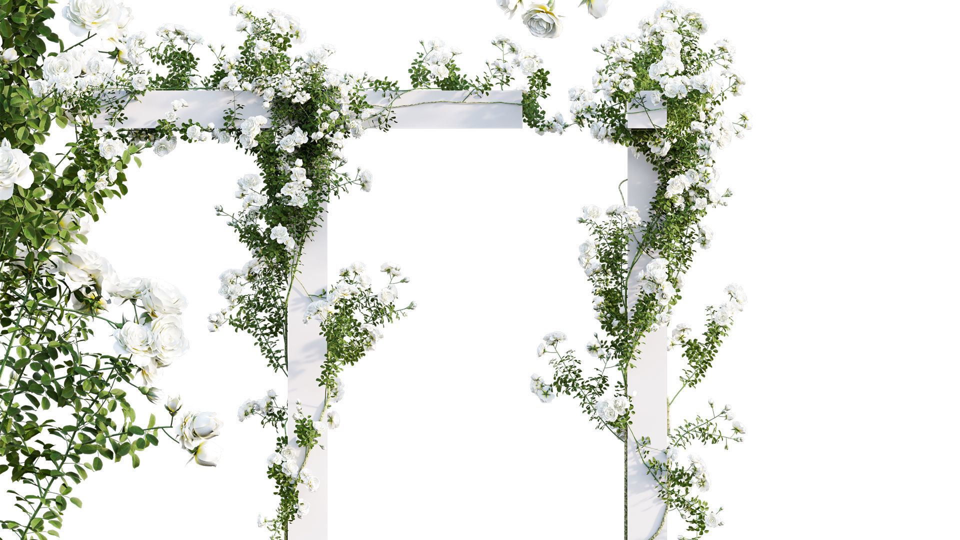 Rose garden-Bundle 08 3D model_14