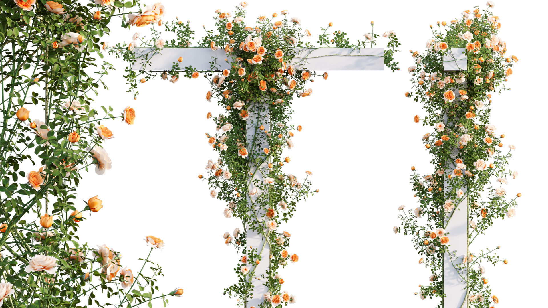 Rose garden-Bundle 08 3D model_23