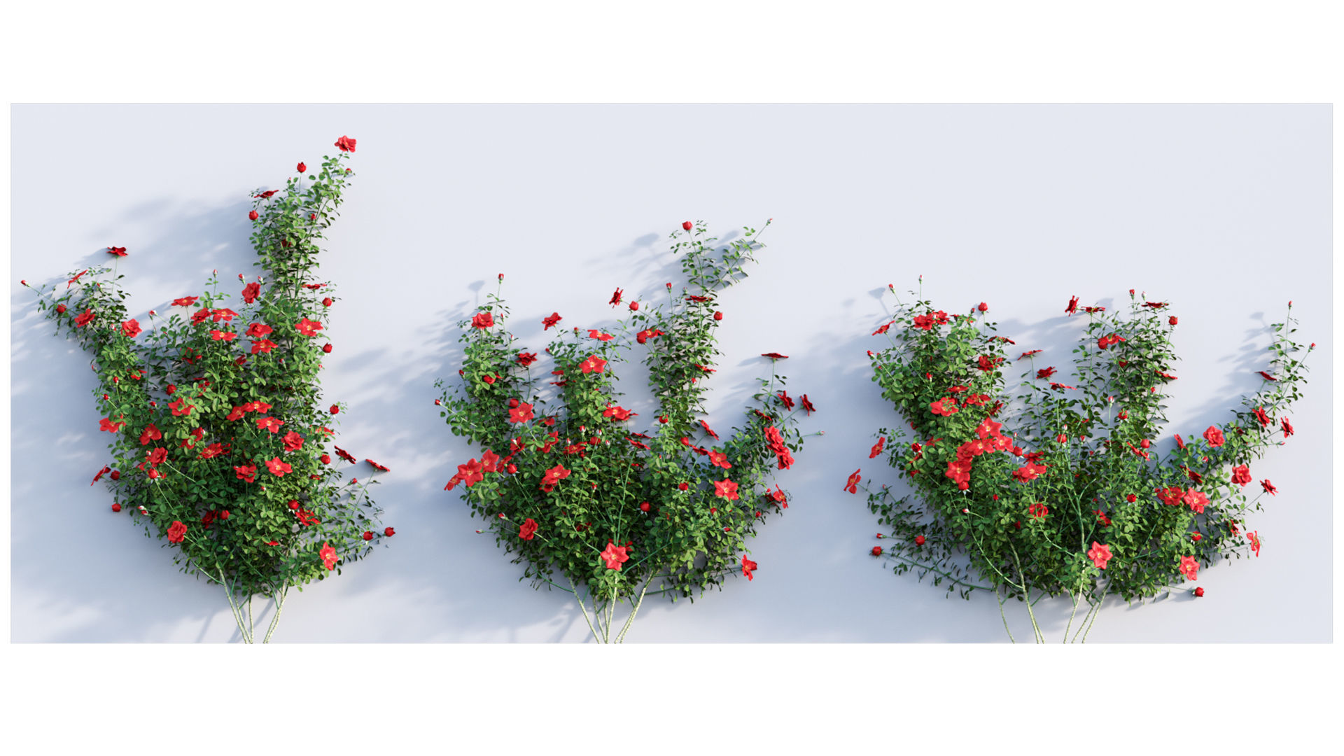 Rose garden-Bundle 08 3D model_5