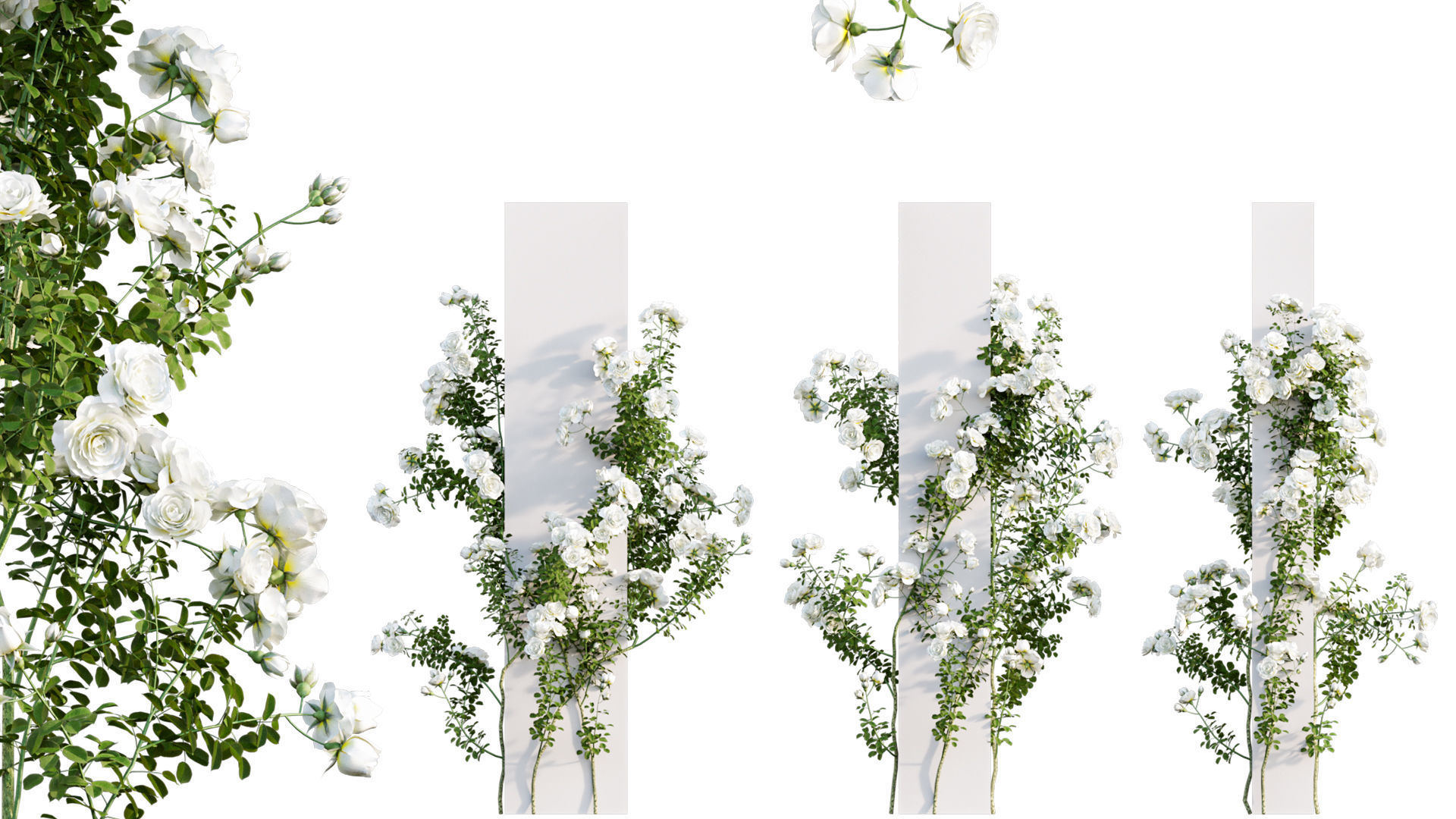 Rose garden-Bundle 08 3D model_13