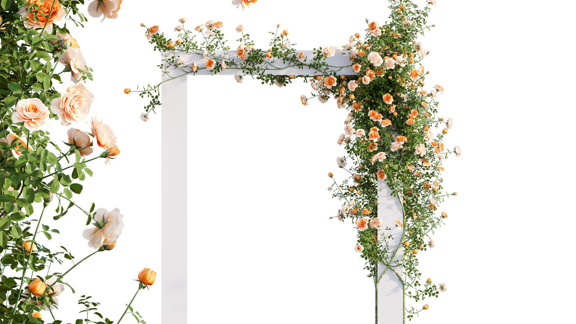 Rose garden-Bundle 08 3D model_9