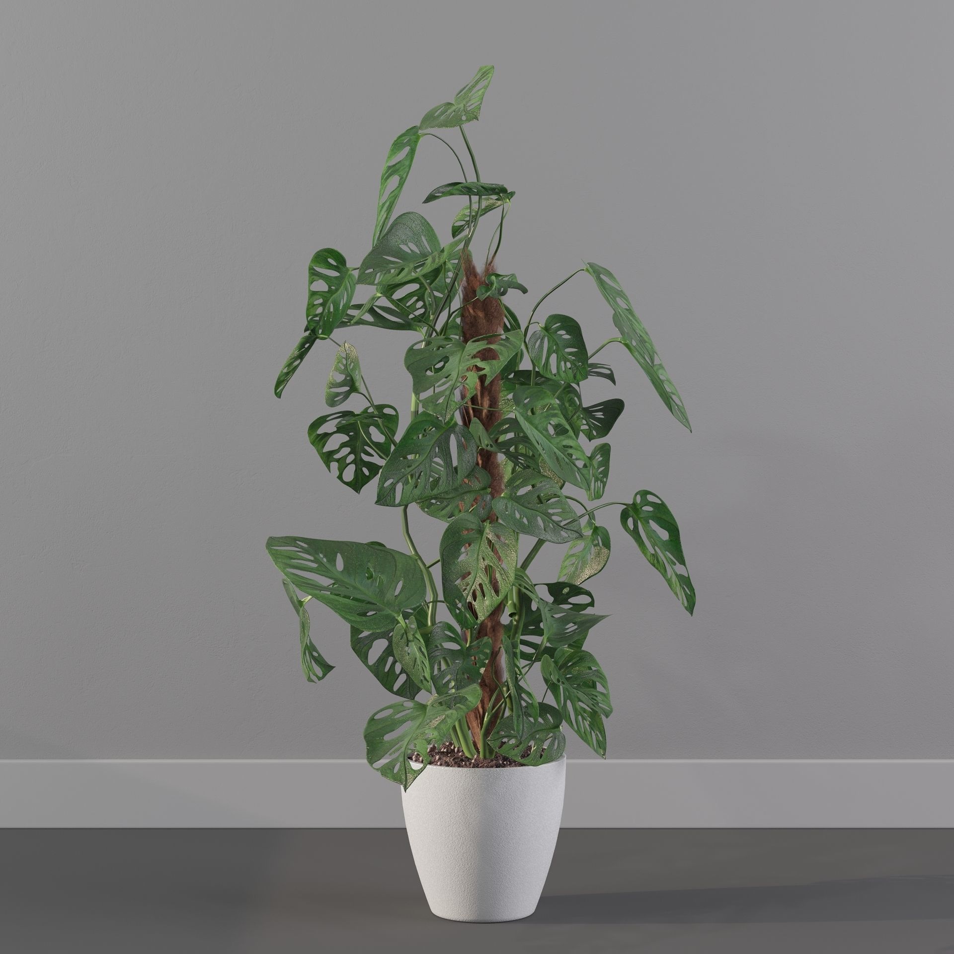 Monstera monkey mask 3D model_36