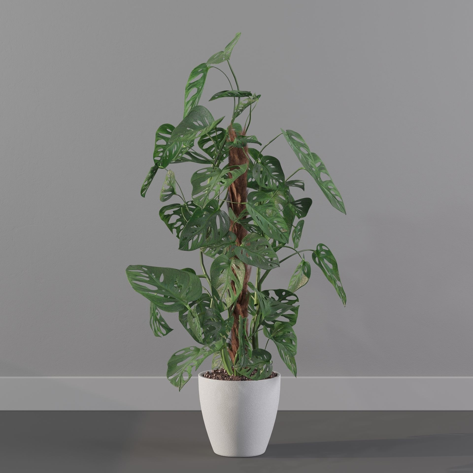 Monstera monkey mask 3D model_7