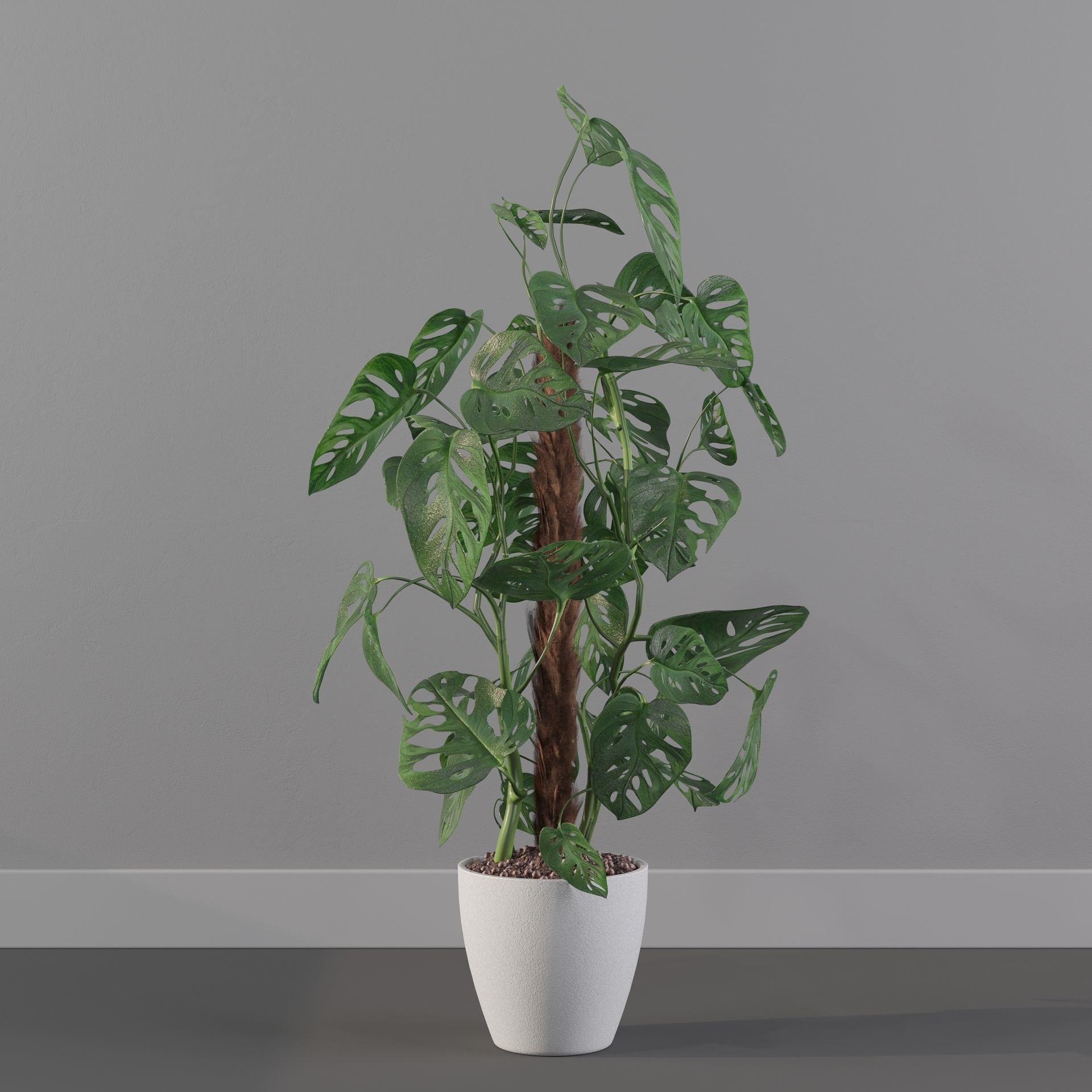 Monstera monkey mask 3D model_27