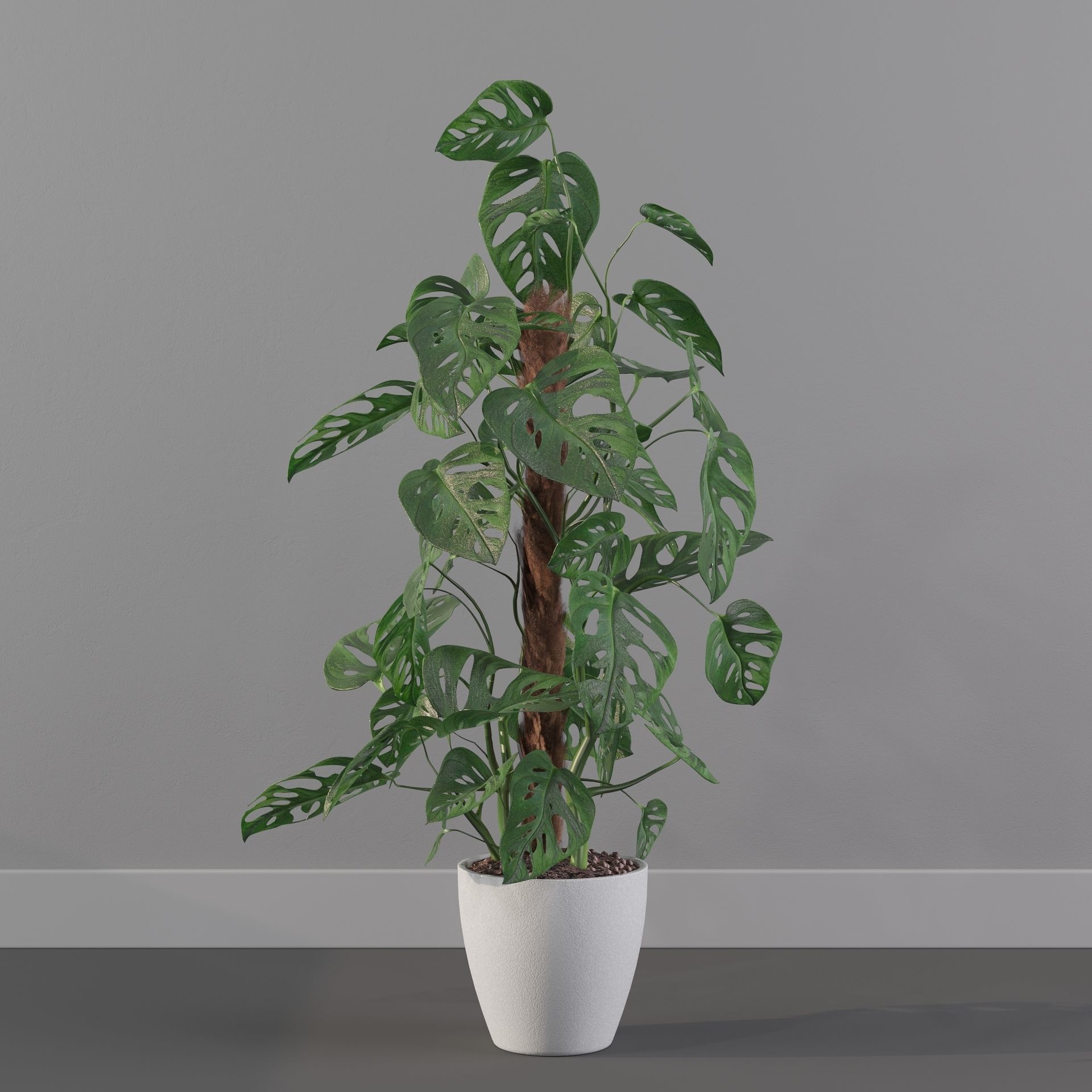 Monstera monkey mask 3D model_32