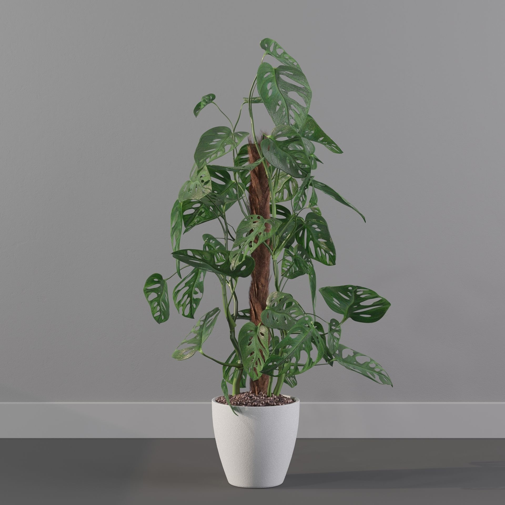 Monstera monkey mask 3D model_4