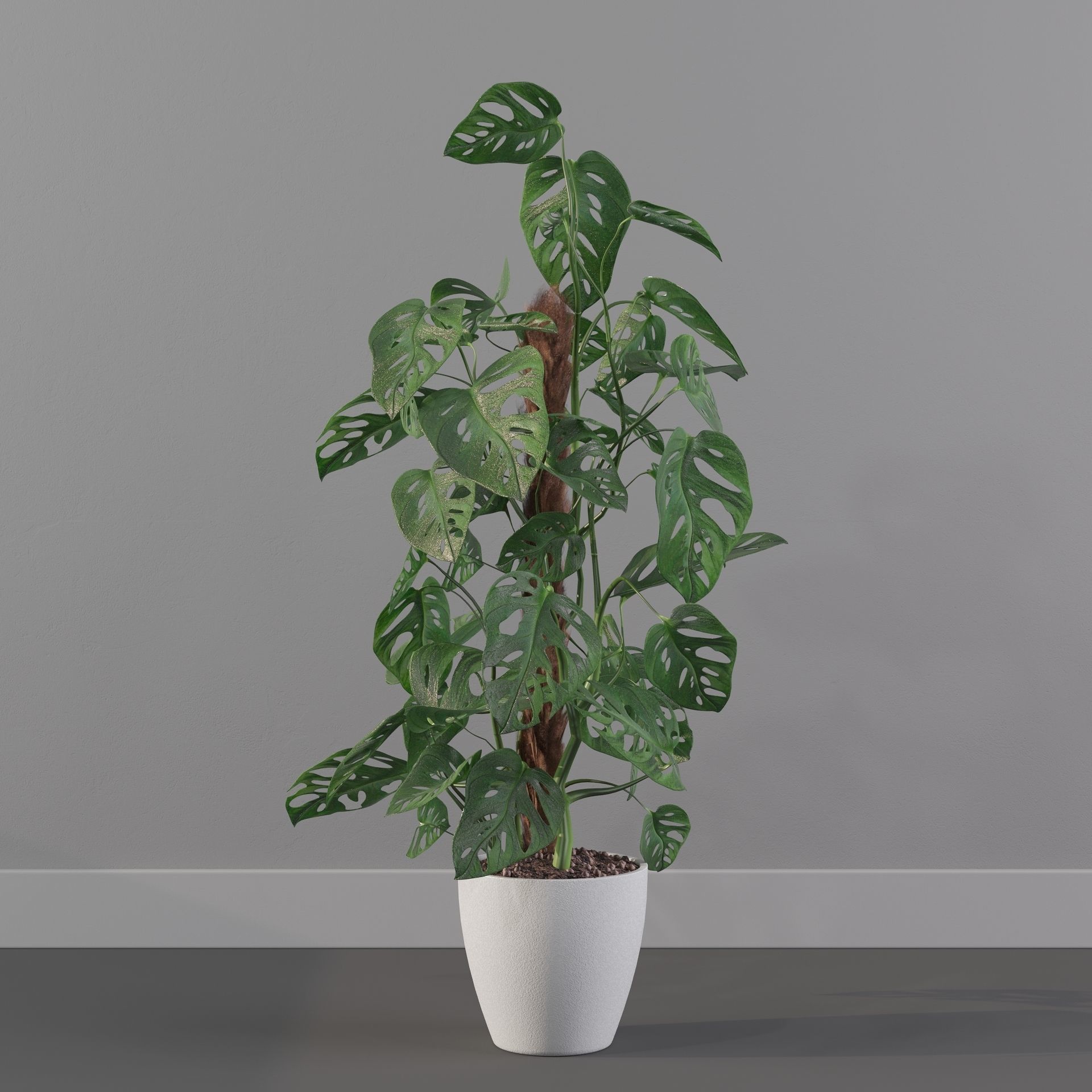 Monstera monkey mask 3D model_30