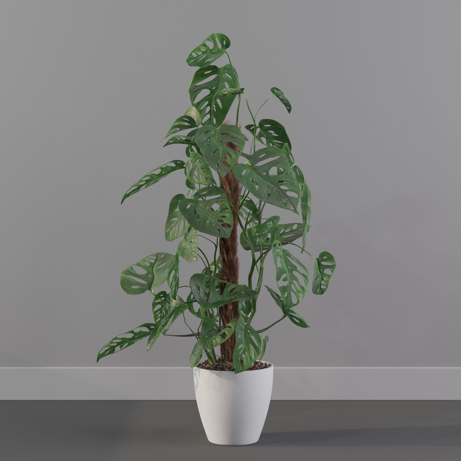 Monstera monkey mask 3D model_6