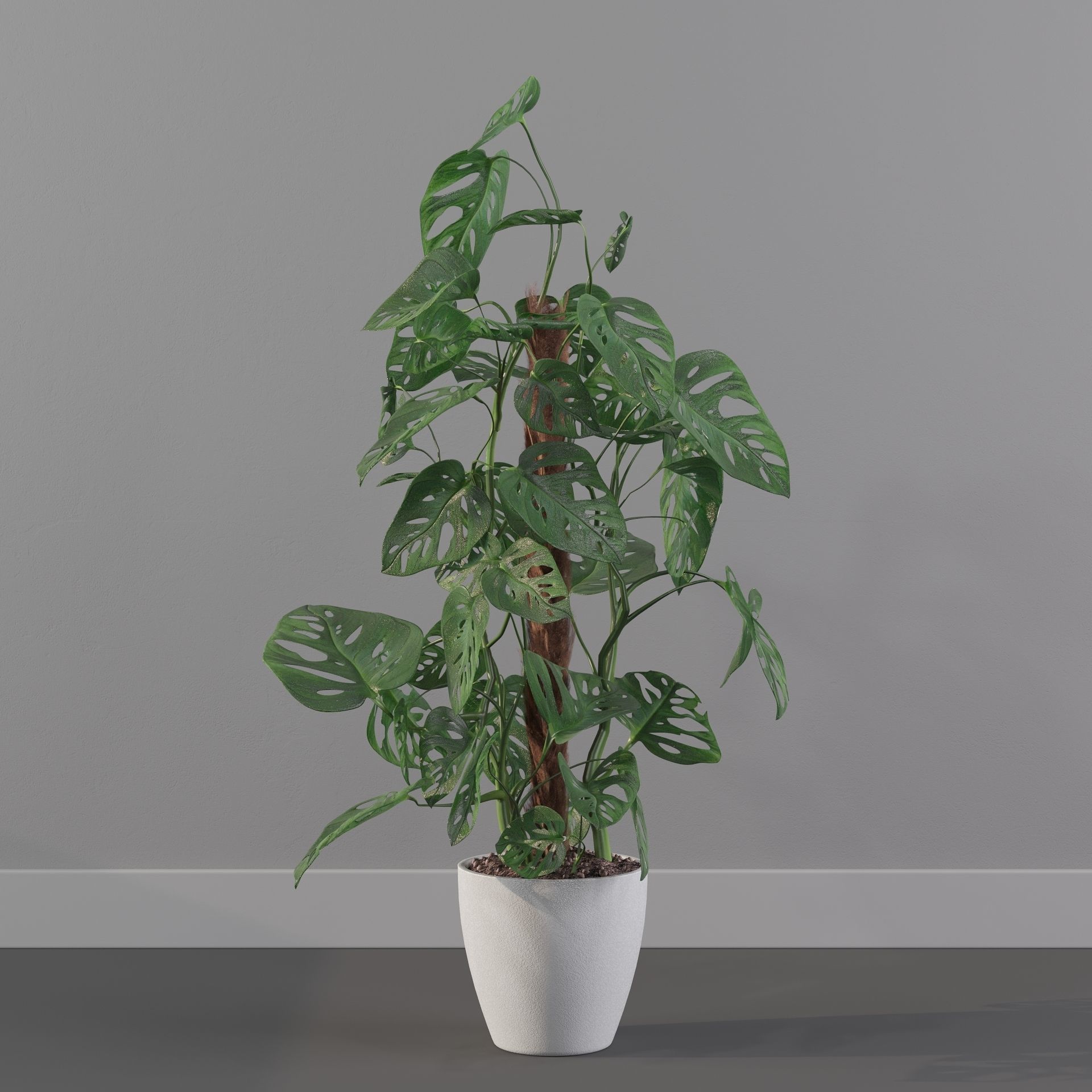 Monstera monkey mask 3D model_28