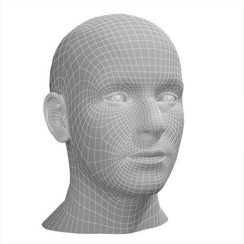 Character - Female Male Head Base Mesh Low-poly 3D model Low-poly 3D model