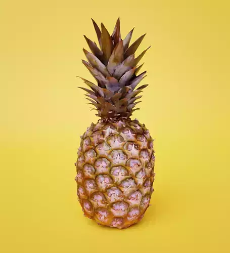 Pineapple photorealistic photoscan