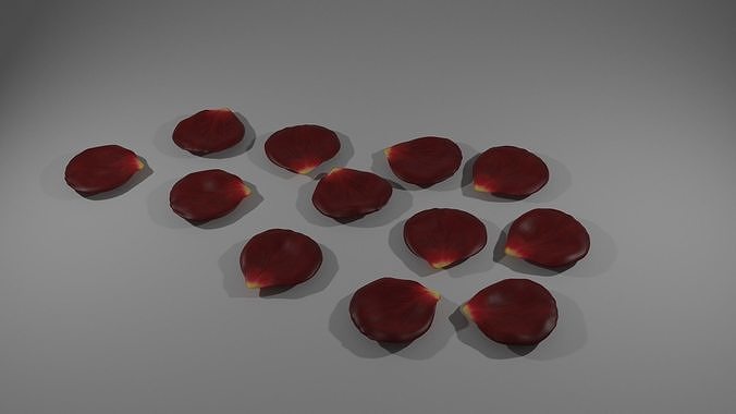 rose petals 3D model