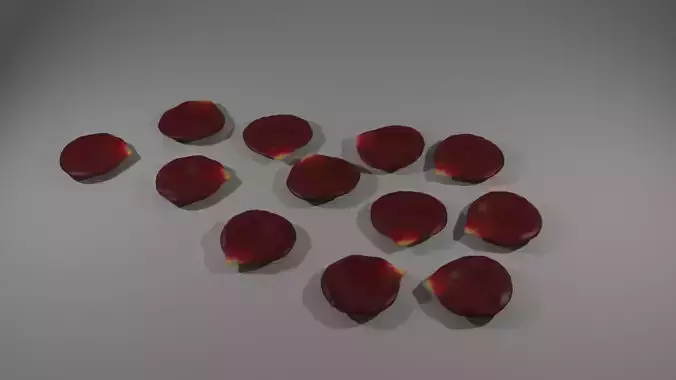 rose petals 3D model