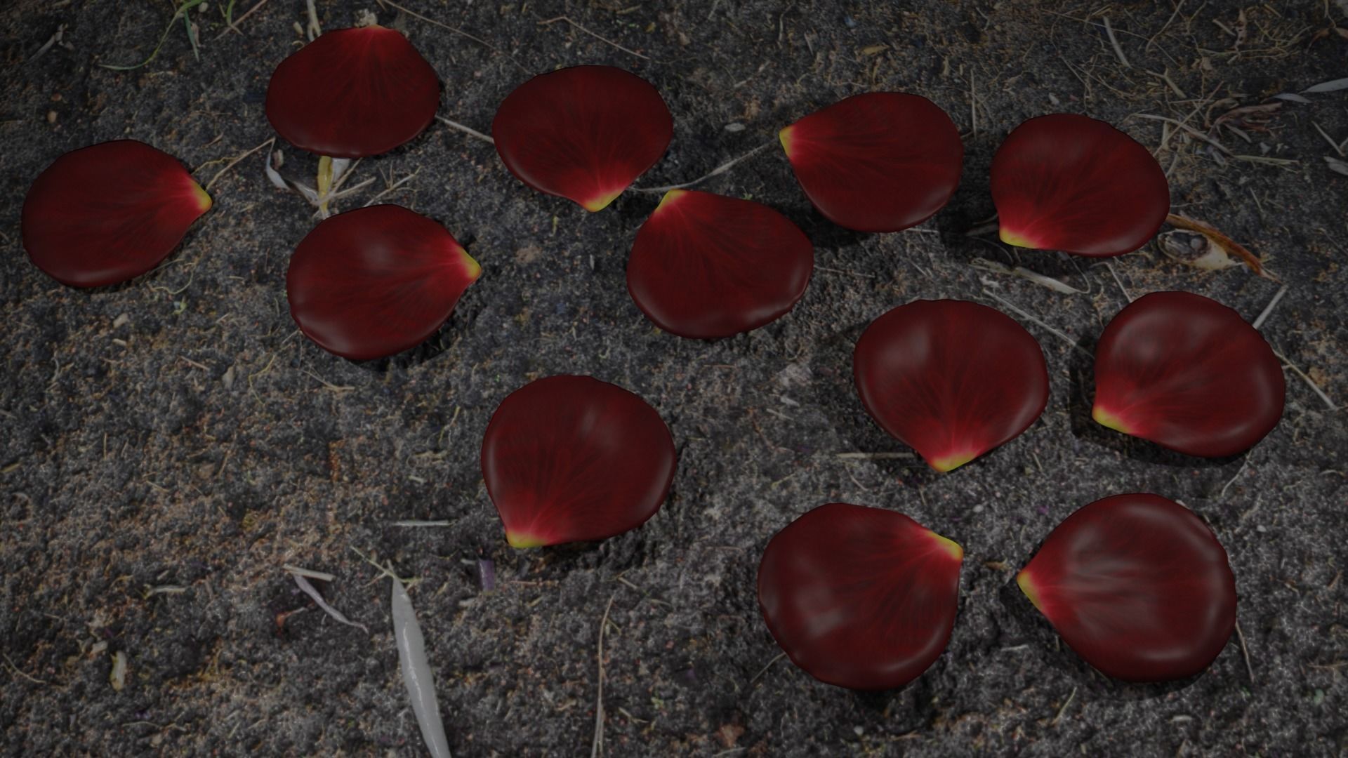 rose petals 3D model_1