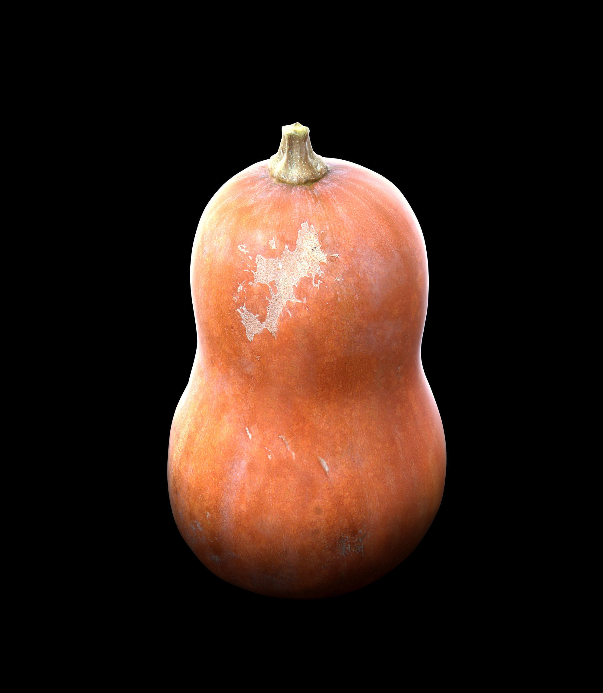 Pumpkin Low-poly 3D model_2
