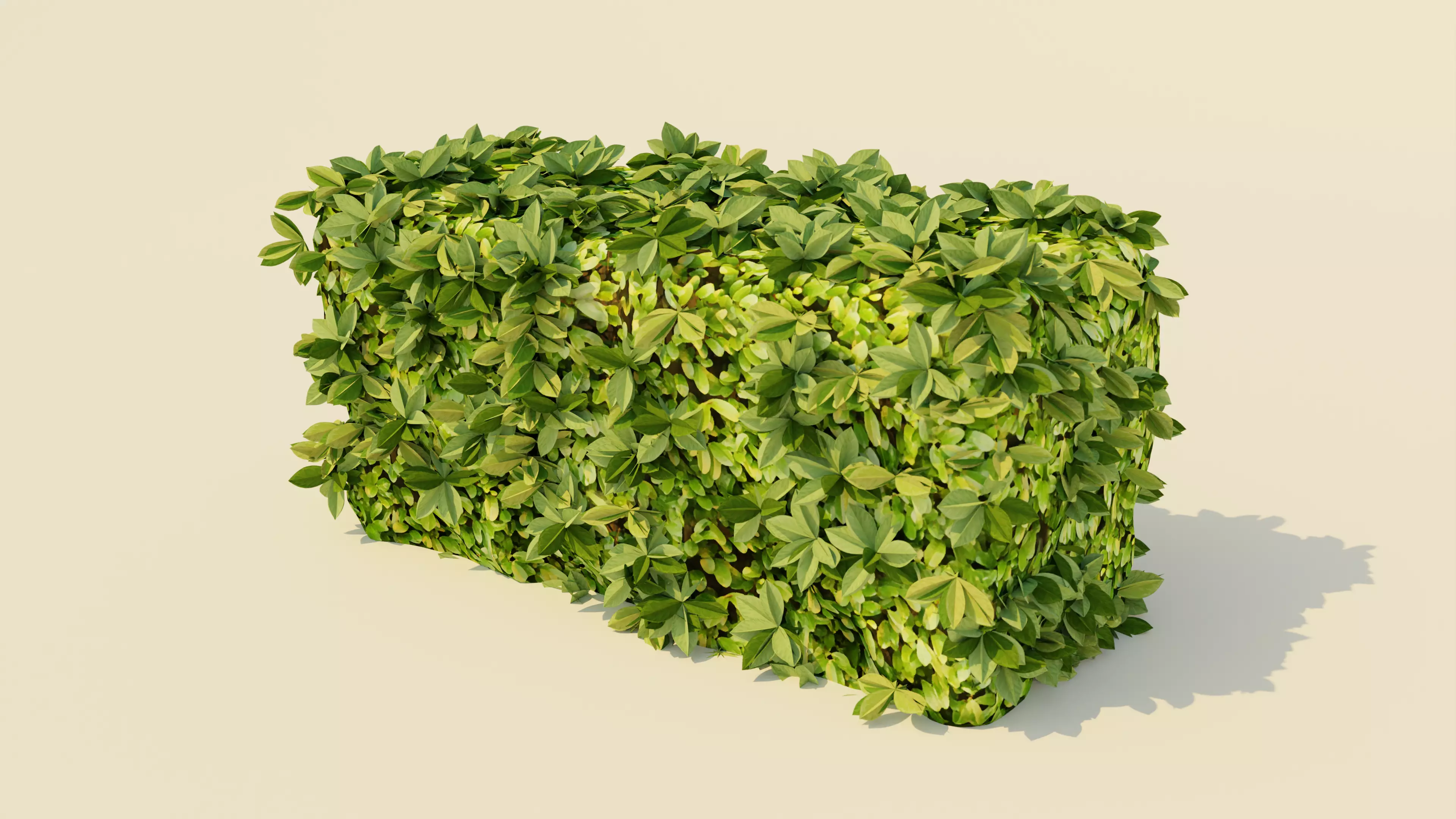 Hedge Bush Stylized 3D model