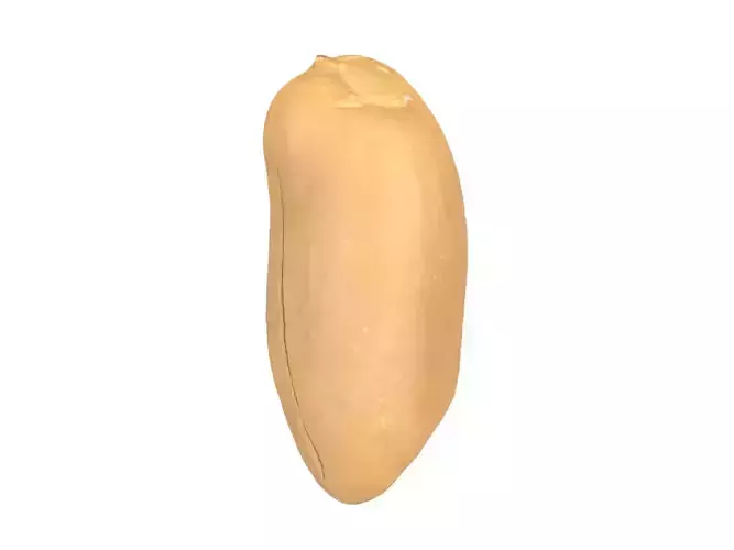Photorealistic Peanut Kernel 3D Scan 2 3D model