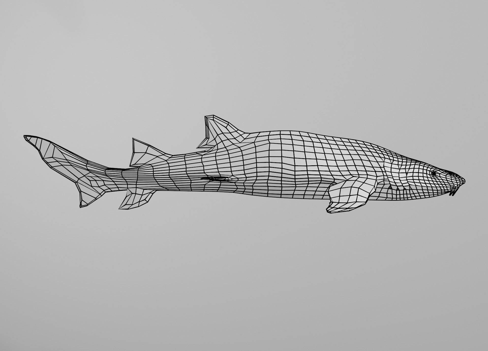 Lowpoly Sharks Collection shark _27