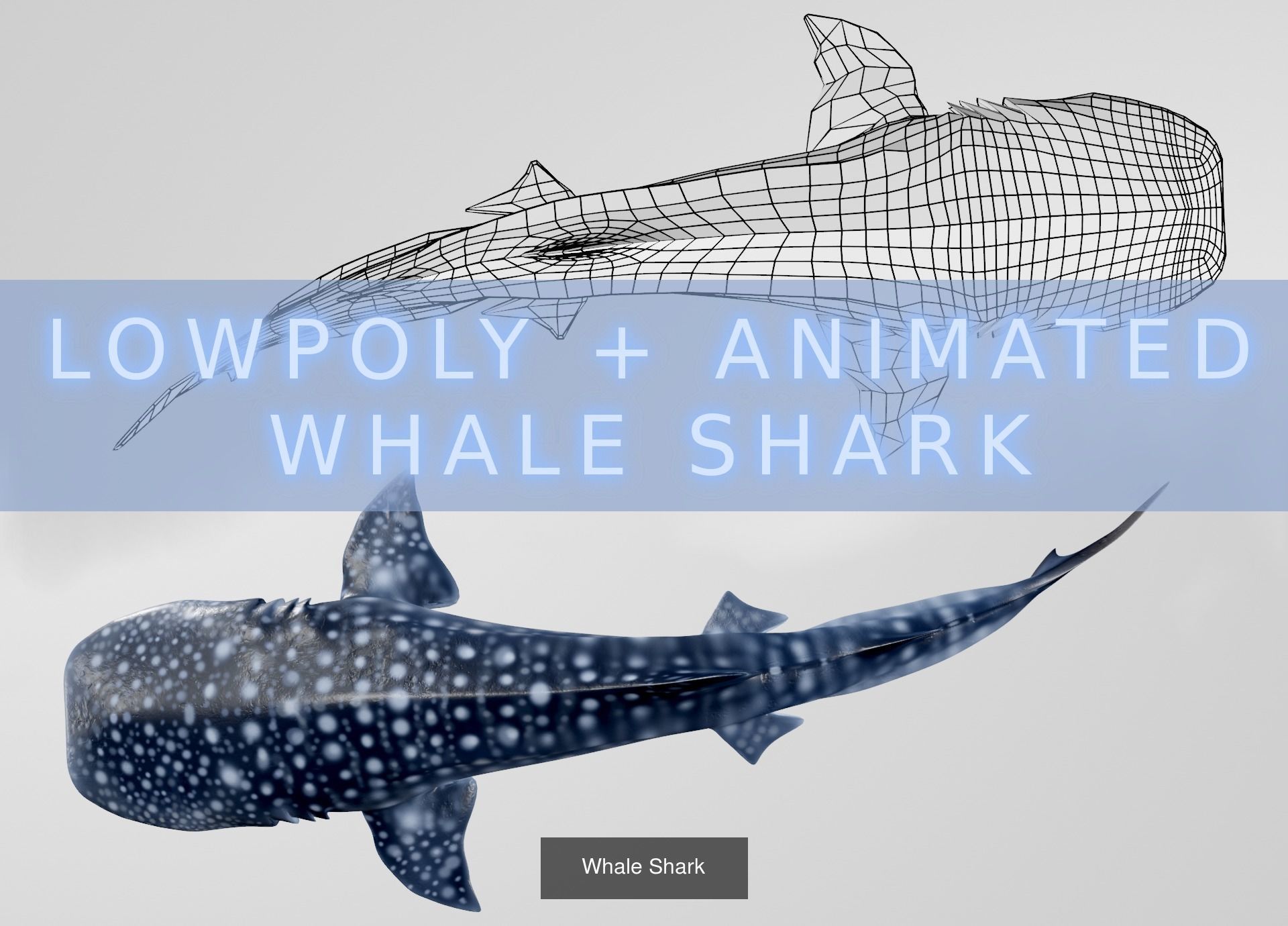 Lowpoly Sharks Collection shark _9