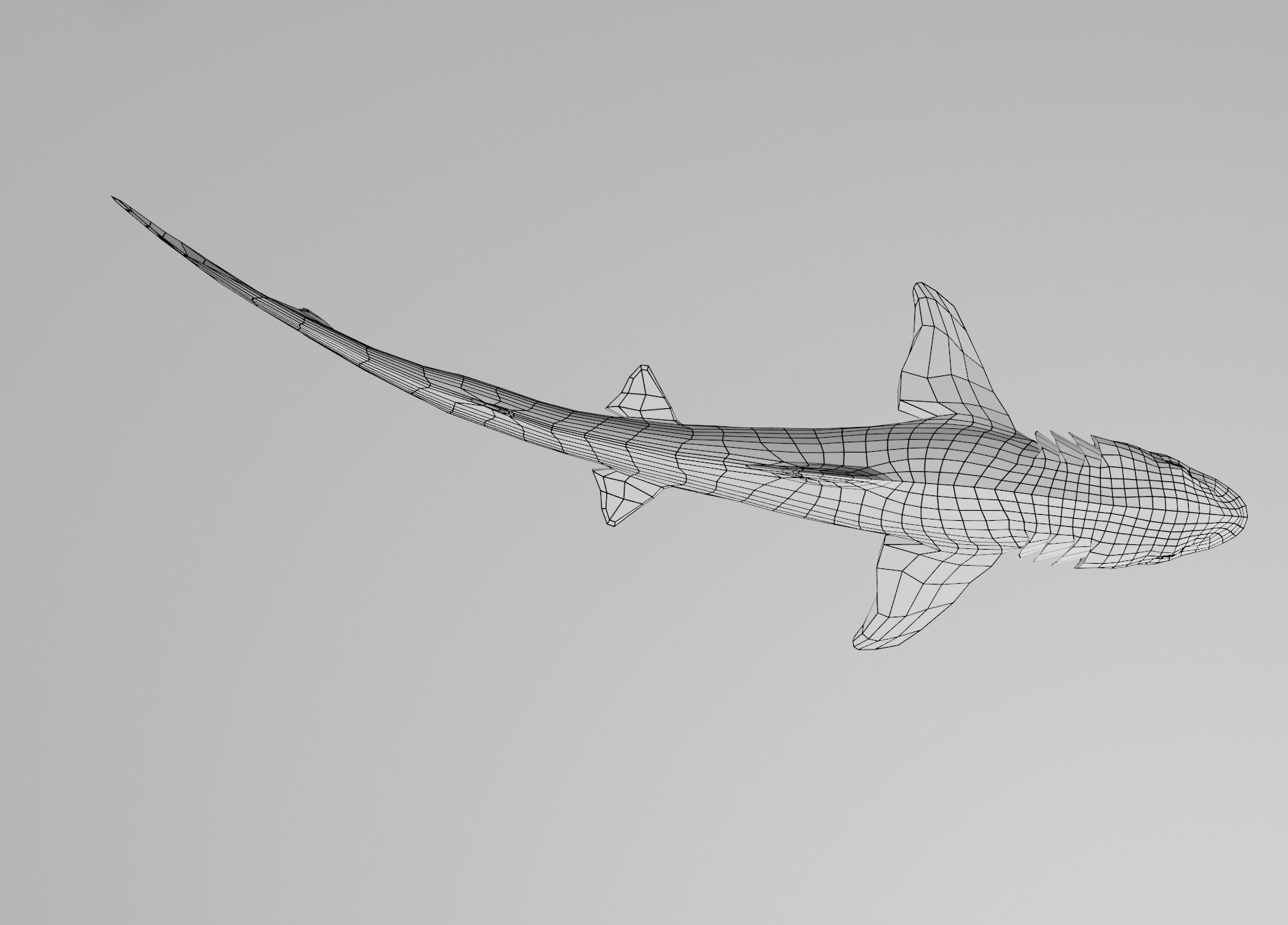 Lowpoly Sharks Collection shark _16