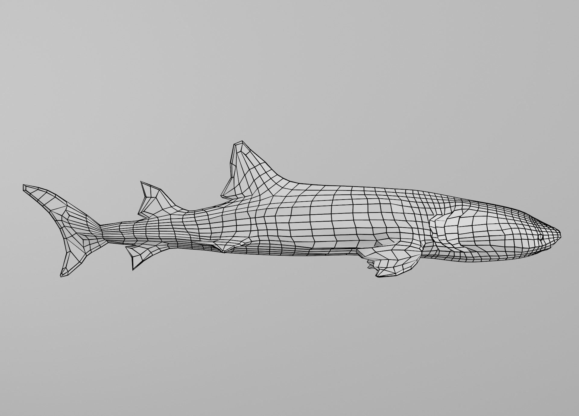 Lowpoly Sharks Collection shark _13