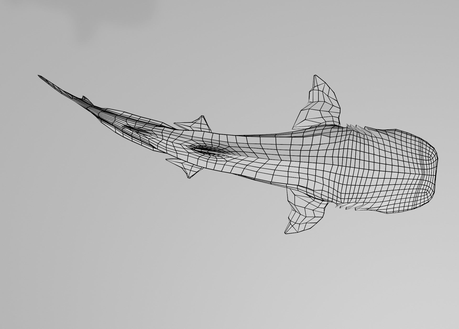 Lowpoly Sharks Collection shark _11
