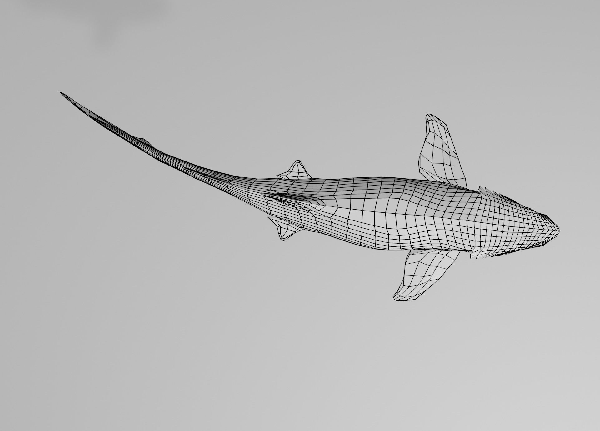 Lowpoly Sharks Collection shark _25