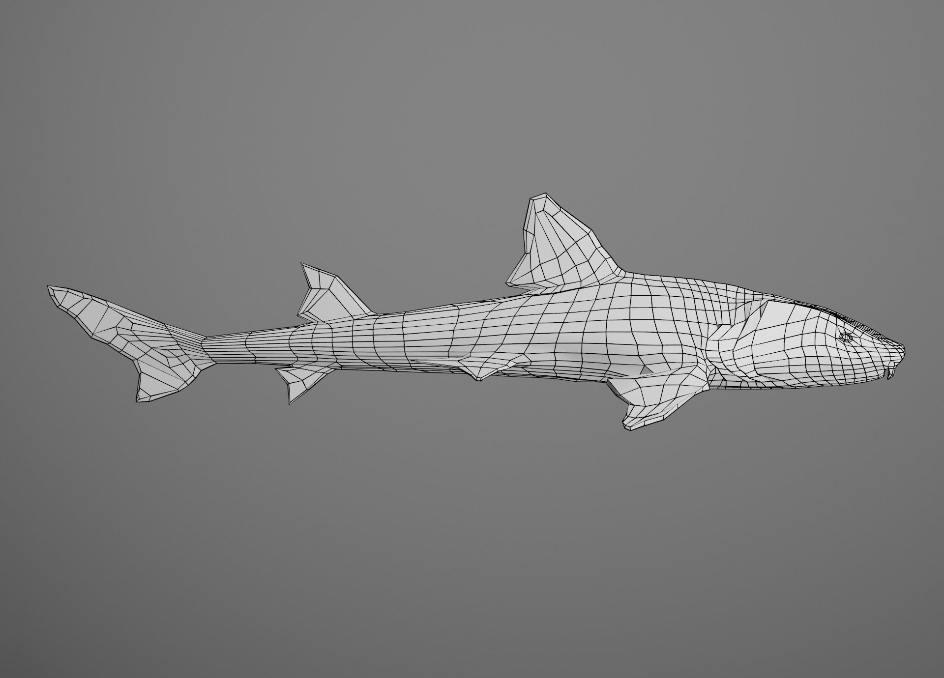Lowpoly Sharks Collection shark _23