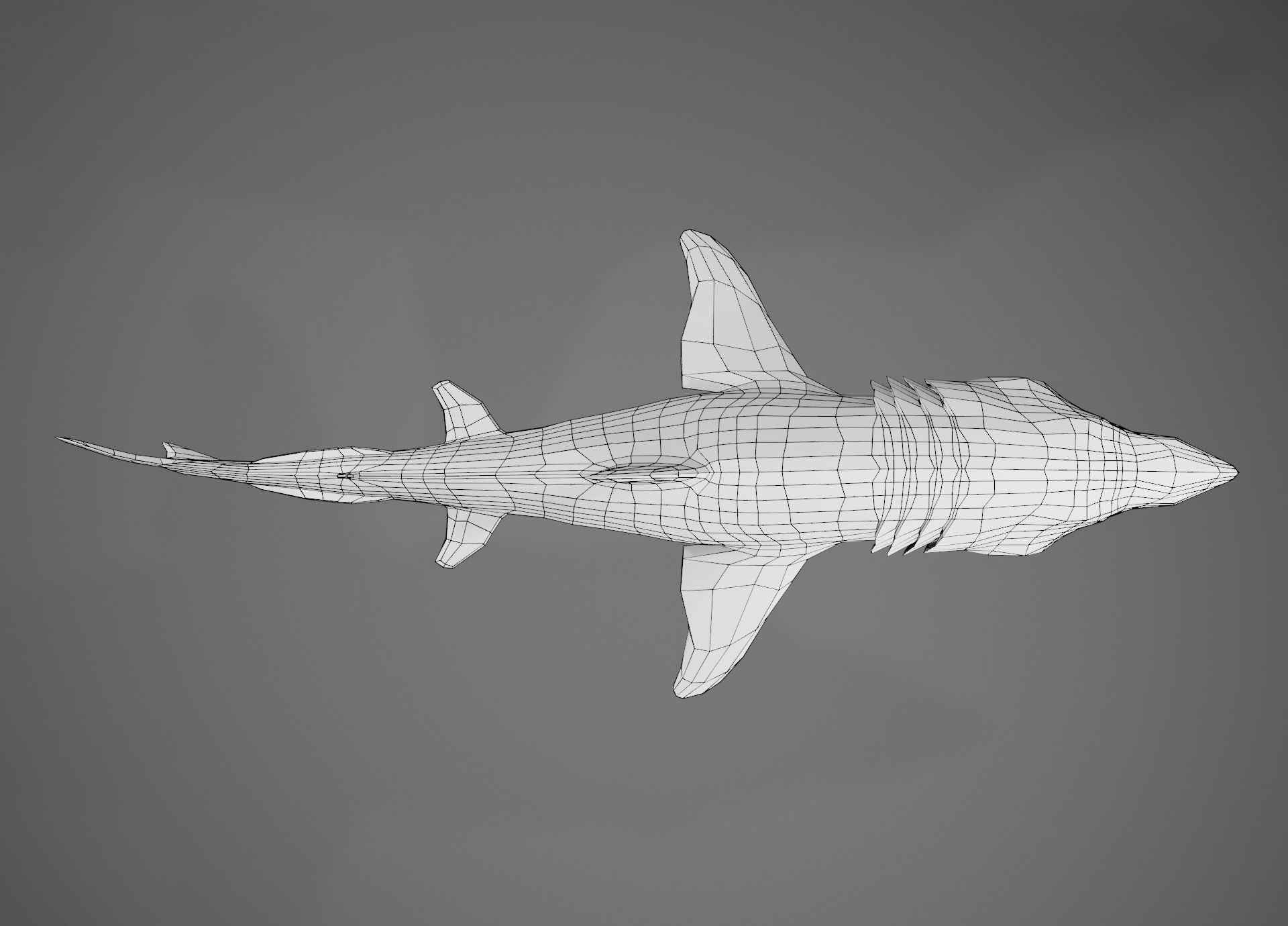 Lowpoly Sharks Collection shark _6