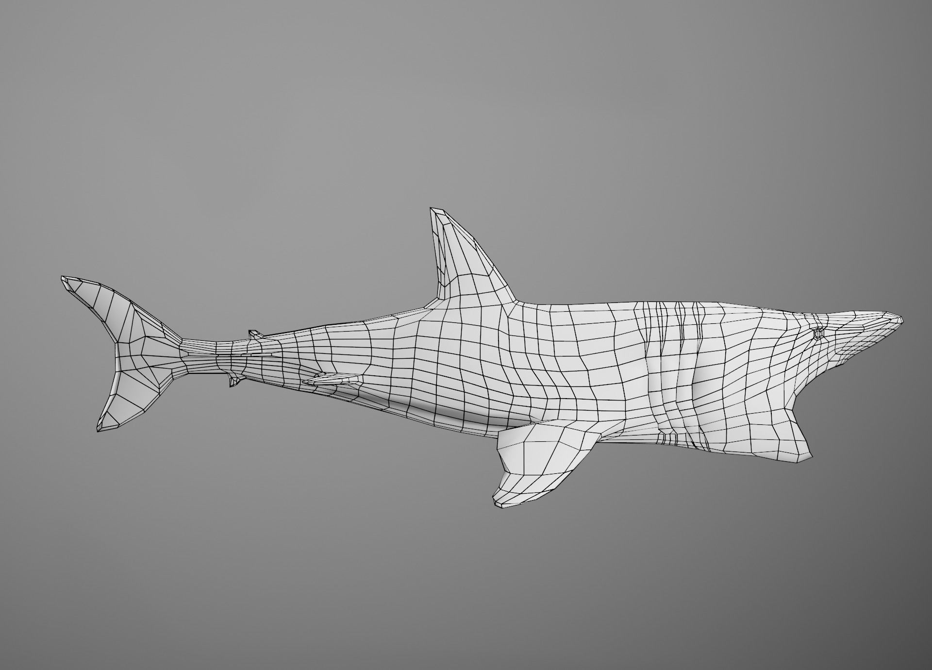 Lowpoly Sharks Collection shark _8