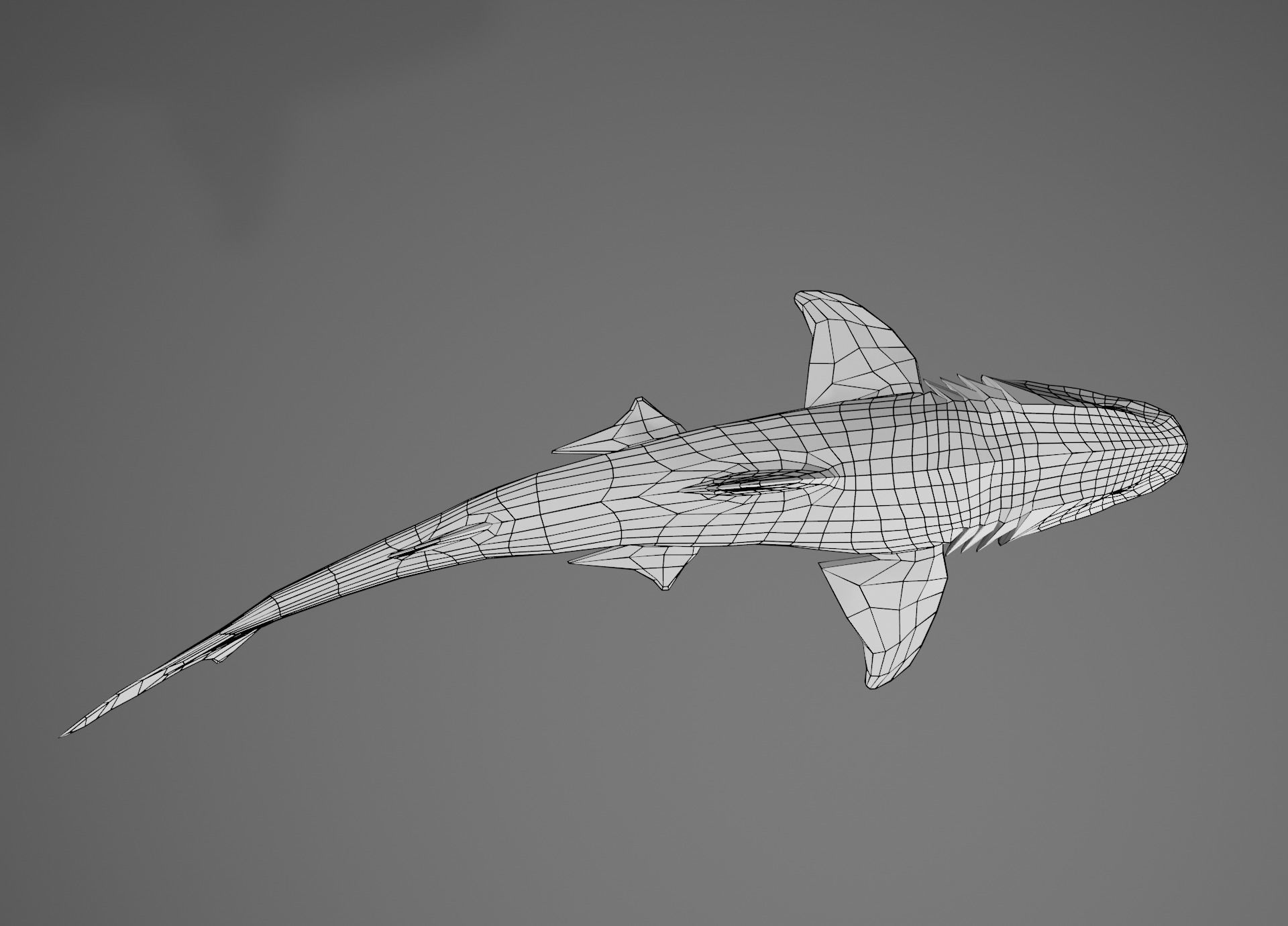 Lowpoly Sharks Collection shark _21