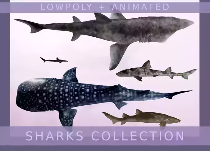 Lowpoly Sharks Collection shark 