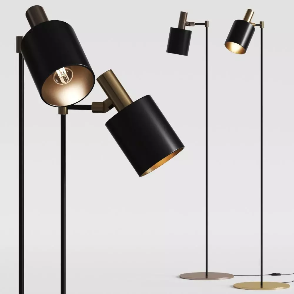 Capital Collection Musa T Floor Lamp 3D model_0