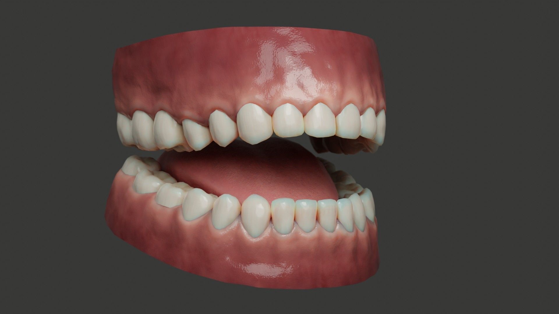 Human Teeth Rigged Low-poly 3D model_10