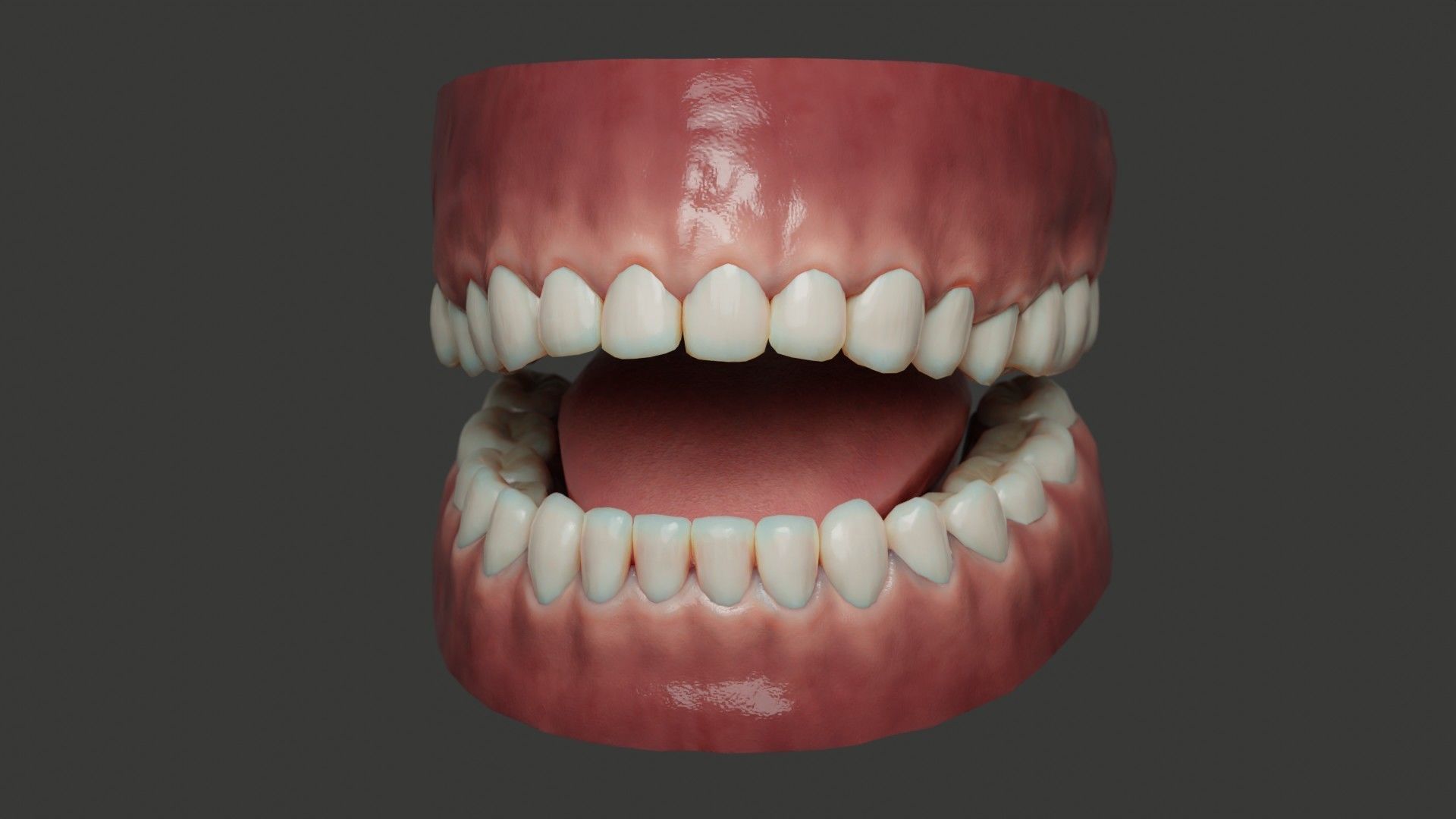 Human Teeth Rigged Low-poly 3D model_11